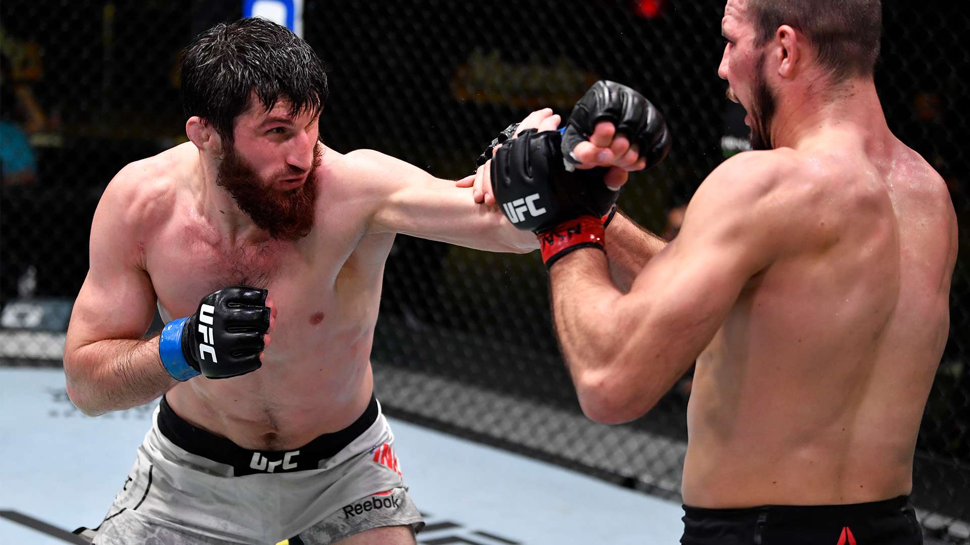 多个关键比 多个关键比